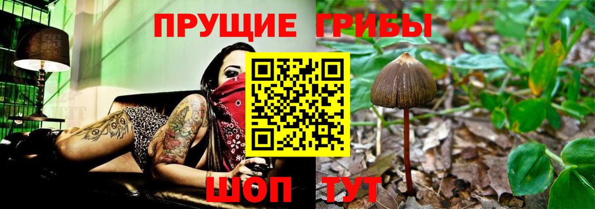 Москва  Галлюциногенные грибы Magic Shrooms  Вход с VPN  Псилоцибиновые грибы Psilocybe 